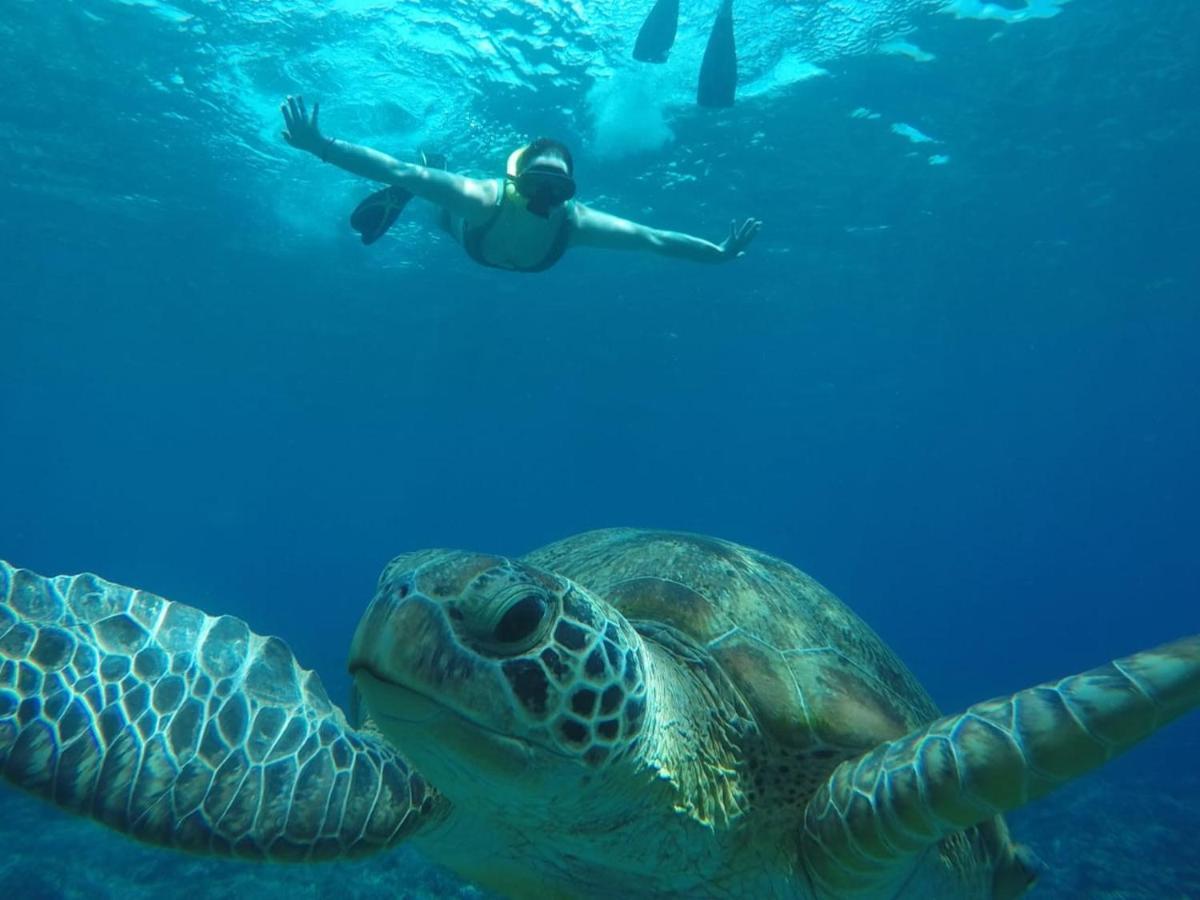 Fantastic Cottages Gili Meno Exteriör bild