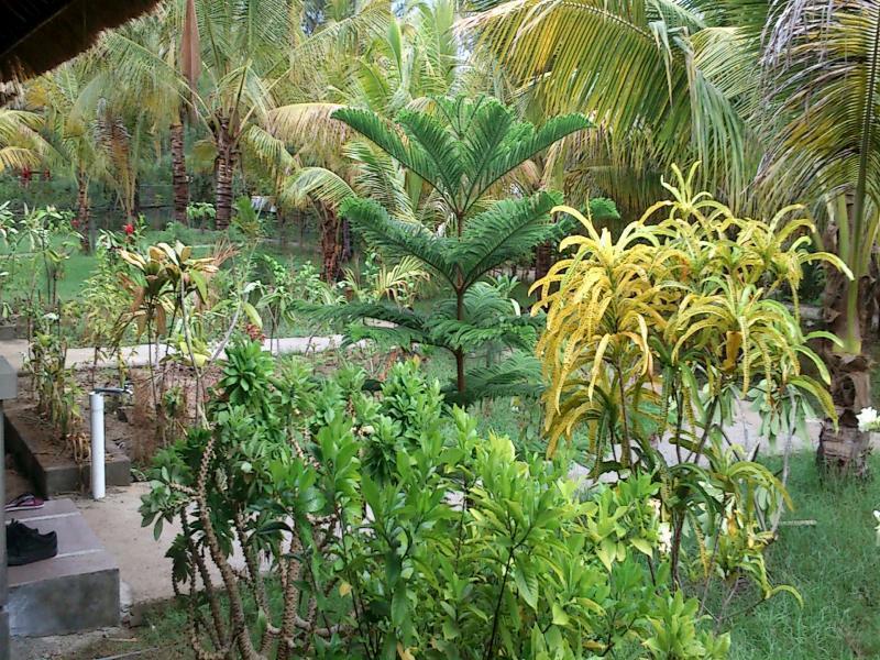 Fantastic Cottages Gili Meno Exteriör bild